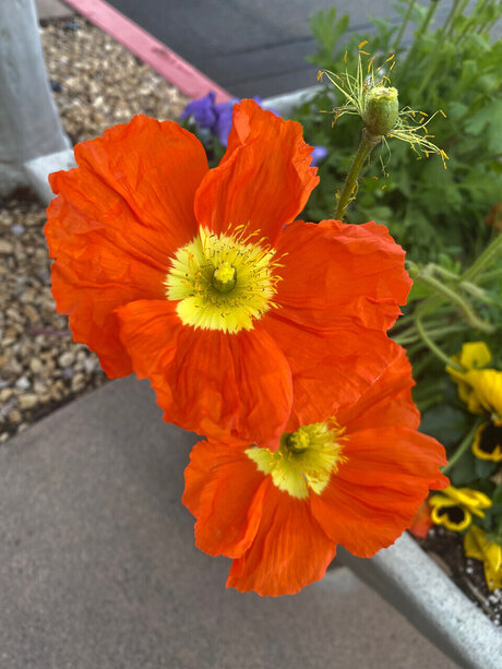 One Love Naked Yoga naked leaks OnlyFans pic