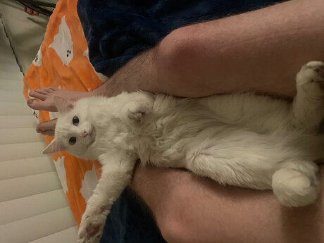 Naken läckt OnlyFans-bild av Michi Fink