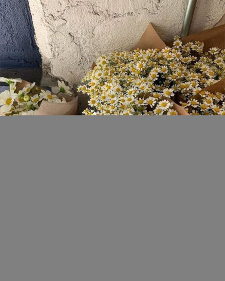 Photo nue de fuite OnlyFans de Vip Onflyfeet 