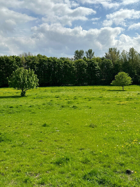 Foto di nudo di fuga di OnlyFans di Naughty But Kinky 