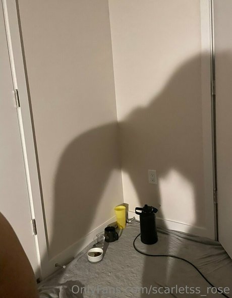 Naken lekkede OnlyFans-bilde av Scarletssrose