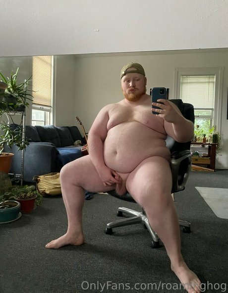 Naken läckt OnlyFans-bild av Roaminghog