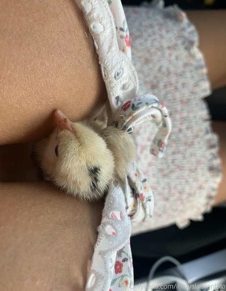 Foto di nudo di fuga di OnlyFans di Iheartlaurenlala