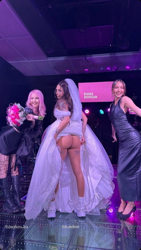 Foto di nudo di fuga di OnlyFans di Diana Melison