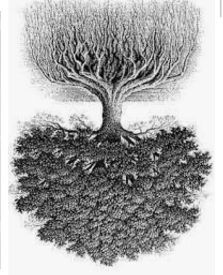 Photo nue de fuite OnlyFans de Wiz