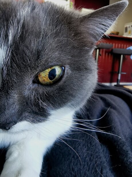 Naakte gelekte OnlyFans-foto van Midna