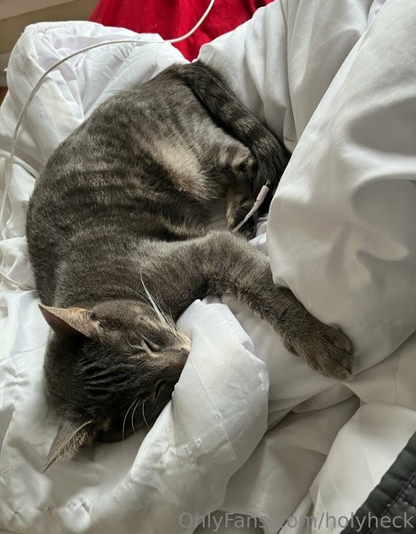 Nacktes geleaktes OnlyFans-Foto von Holyheck