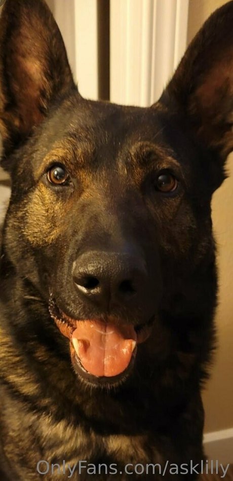 Naken lekkede OnlyFans-bilde av Asklilly