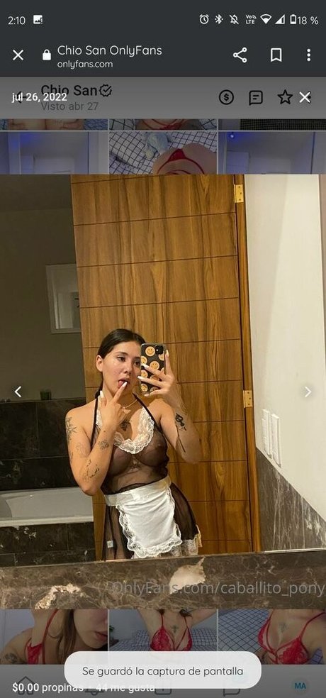 OnlyFans-model Caballitopony