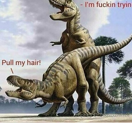 OnlyFans-model Snovixen