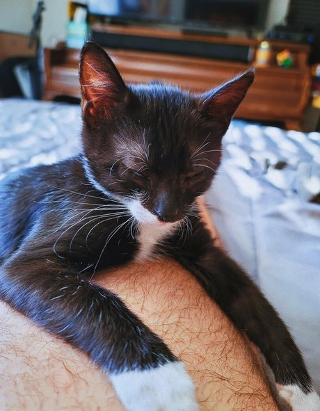 Обнаженная фотография утечки OnlyFans от Fosterkittendad