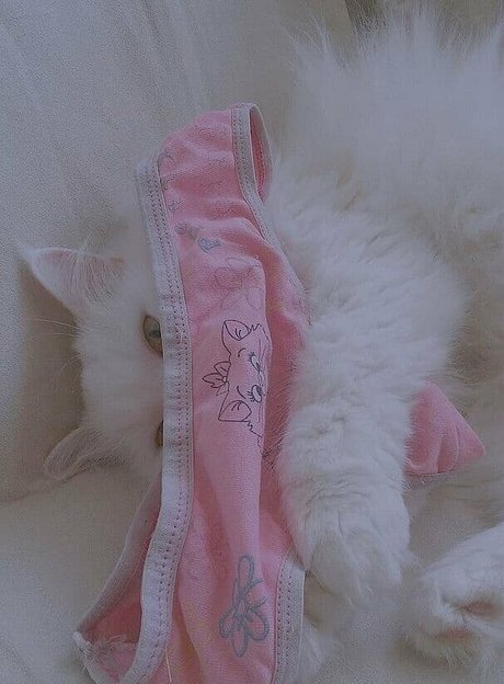 Nahá fotka uniklých OnlyFans od Cutekatrin