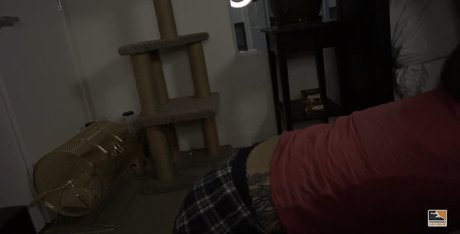 OnlyFans-model Soe Gwchwind