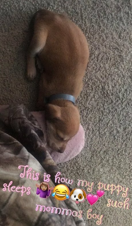 Foto di nudo di fuga di OnlyFans di Secretrene