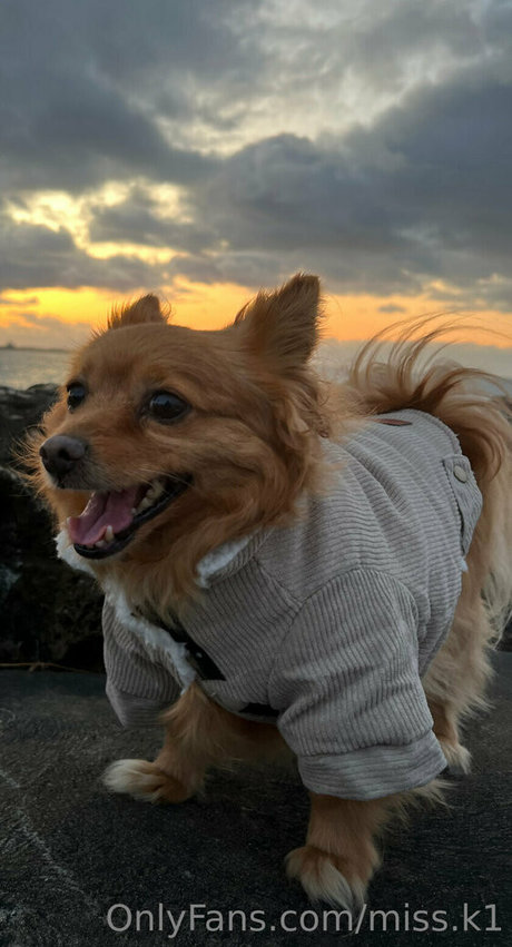 Naken lekkede OnlyFans-bilde av Missk1