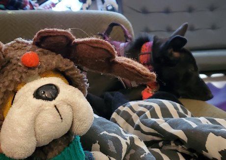 Alasti lekkinud OnlyFans-i pilt Emberblazexxx