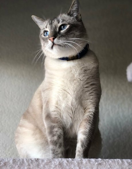 Nahá fotka uniklých OnlyFans od Wolf6actual