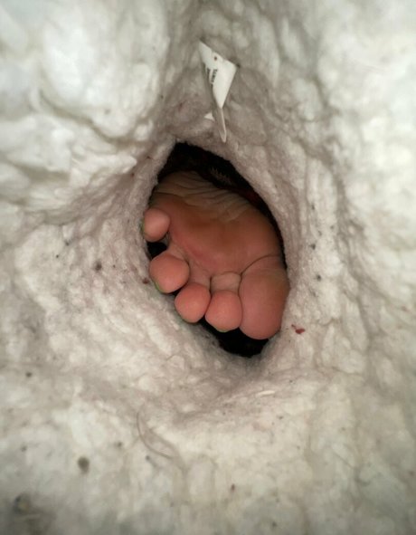 Preciousssgemm OnlyFans泄露裸照