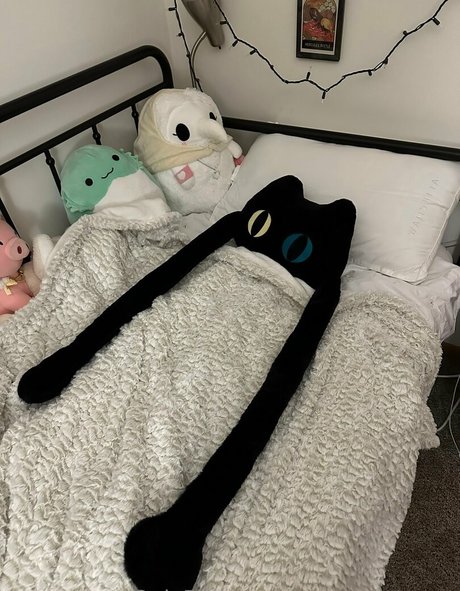 Naakte gelekte OnlyFans-foto van Sleepyraccoon