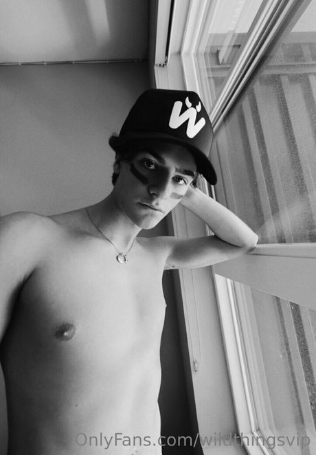 Foto di nudo di fuga di OnlyFans di Wildthingsvip