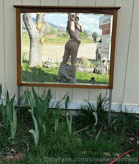 Photo nue de fuite OnlyFans de Snaakecharmerr