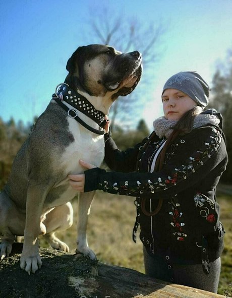 Foto di nudo di fuga di OnlyFans di Nidagonehot