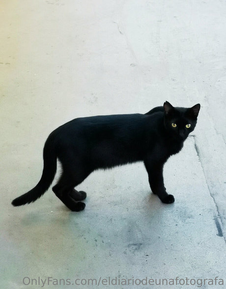 Naken lekkede OnlyFans-bilde av Eldiariodeunafotografa