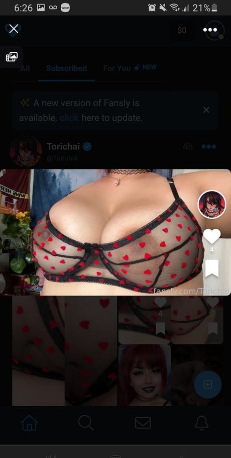 OnlyFans-model Torichai