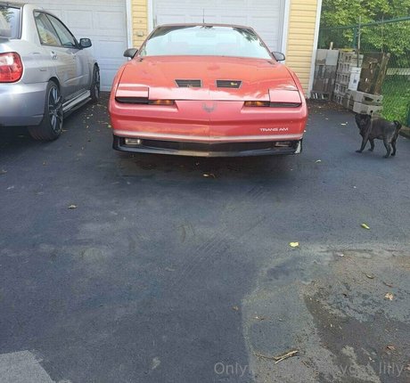 Обнаженная фотография утечки OnlyFans от Shygallilly