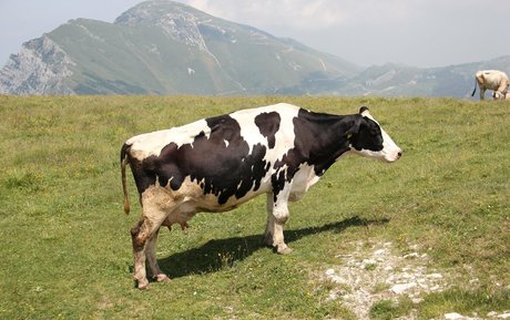 Naken lekkede OnlyFans-bilde av Fatsackfails