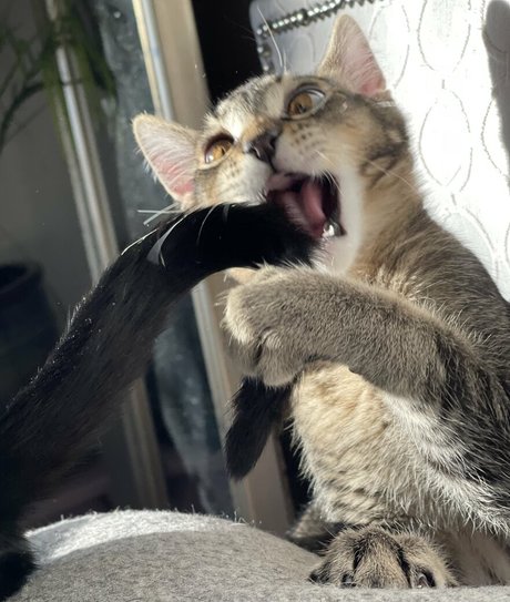 Naakte gelekte OnlyFans-foto van Evparrishsouthernmil