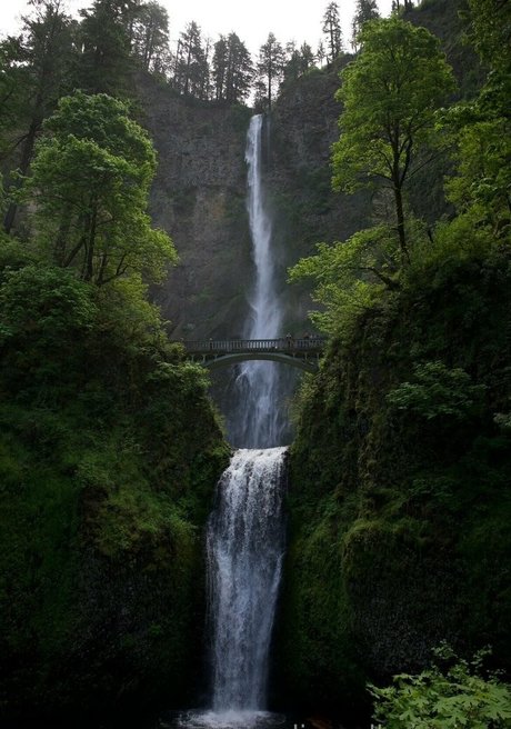 Alignedbyjuniper OnlyFans泄露裸照