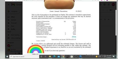 Foto di nudo di fuga di OnlyFans di Fridayschild69