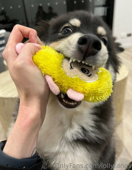 Naakte gelekte OnlyFans-foto van Lollyfangs