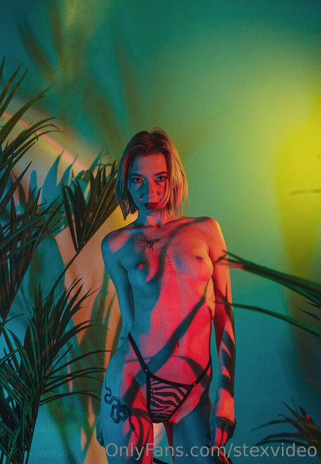 Nacktes geleaktes OnlyFans-Foto von Stexvideo