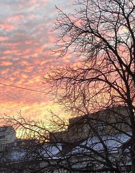 Cherrykush6 naked leaks OnlyFans pic