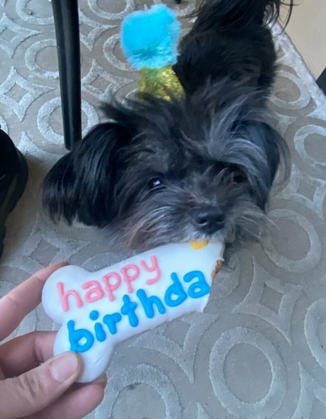 OnlyFans-model Deltadawnlux