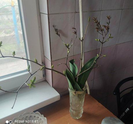 Karinamoonn OnlyFansリークヌード写真