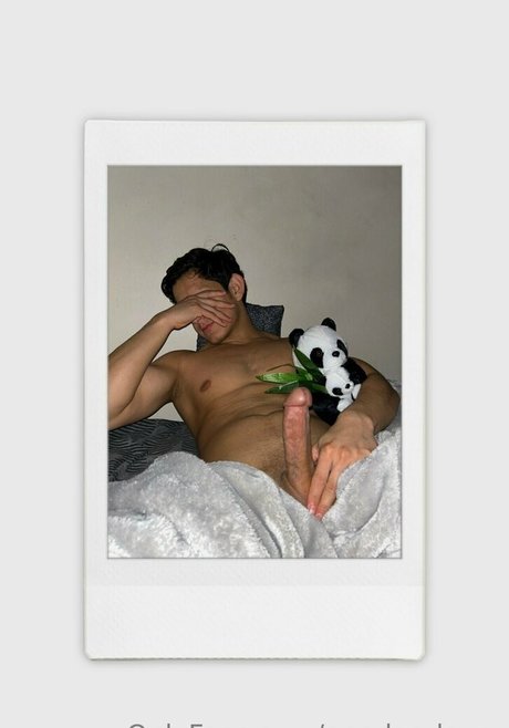 Naken lekkede OnlyFans-bilde av Pandaslover