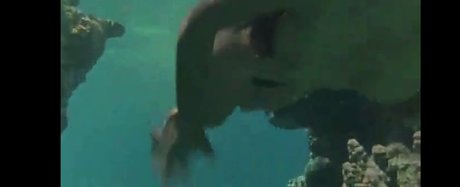 OnlyFans-model Phoebe Cates