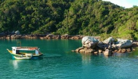 Biabrasil naked leaks OnlyFans pic