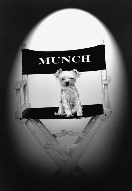 Stormydaniels OnlyFansリークヌード写真