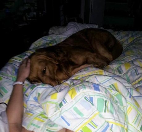 Foto di nudo di fuga di OnlyFans di Avery Harwood